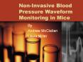 Non-Invasive Blood Pressure Waveform Monitoring in Mice PowerPoint PPT Presentation