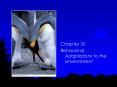 Behavioral Adaptations to the environment PowerPoint PPT Presentation