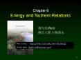 Energy and Nutrient Relations PowerPoint PPT Presentation