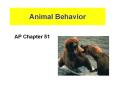 Animal Behavior PowerPoint PPT Presentation