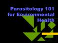 Parasitology 101 for Environmental Health PowerPoint PPT Presentation