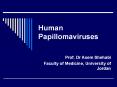Human Papillomaviruses PowerPoint PPT Presentation