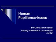 Human Papillomaviruses