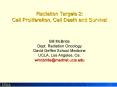 Radiation Targets 2: Cell Proliferation, Cell Death and Survival  Bill McBride Dept. Radiation Oncology David Geffen School Medicine UCLA, Los Angeles, Ca. wmcbride@mednet.ucla.edu PowerPoint PPT Presentation
