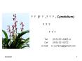 ?? (??, ???, Cymbidium)              ??? PowerPoint PPT Presentation