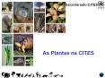 Plants in CITES PowerPoint PPT Presentation