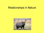 Relationships in Nature