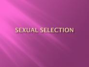 Sexual Selection