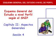 Esquema General del Estudio a nivel Perfil seg