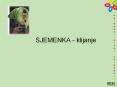SJEMENKA - klijanje PowerPoint PPT Presentation