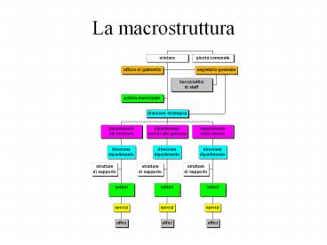 La macrostruttura