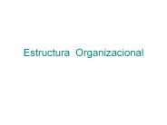 Estructura Organizacional
