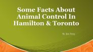 Some Facts About Animal Control In Hamilton & Toronto