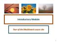 Introductory Module PowerPoint PPT Presentation