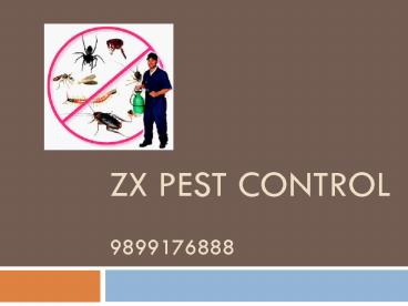 ZX pest control
