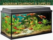 Aquarium Equipment & Supplies