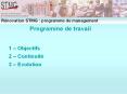 Programme de travail  1  PowerPoint PPT Presentation