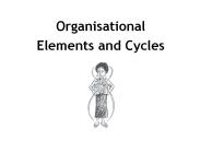 Organisational Elements and Cycles