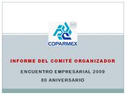 Informe del Comit