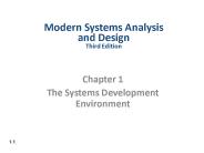 The Systems Development Environment