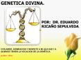 Genética Divina PowerPoint PPT Presentation
