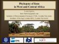 Phylogeny of lions in West and Central Africa PowerPoint PPT Presentation