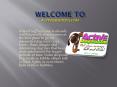 Dog-Supplies PowerPoint PPT Presentation