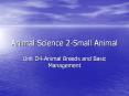 Animal%20Science%202-Small%20Animal PowerPoint PPT Presentation