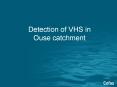Detection of VHS in Ouse catchment PowerPoint PPT Presentation