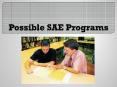 Possible SAE Programs PowerPoint PPT Presentation