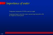 Importance of water