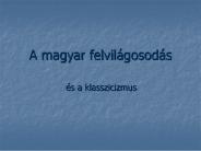 A magyar felvil