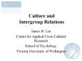 Culture and Intergroup Relations PowerPoint PPT Presentation