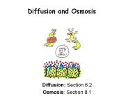 Diffusion and Osmosis