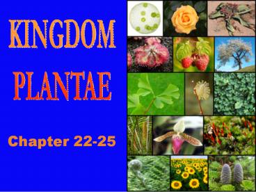 presentation player overlay