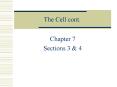 The Cell cont. PowerPoint PPT Presentation