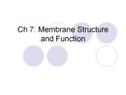 Ch 7: Membrane Structure and Function