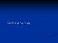 Skeleton System PowerPoint PPT Presentation
