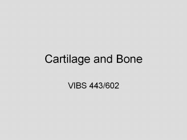 Cartilage and Bone