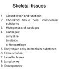 Skeletal tissues PowerPoint PPT Presentation