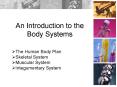 An Introduction to the Body Systems PowerPoint PPT Presentation