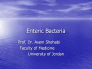Enteric Bacteria