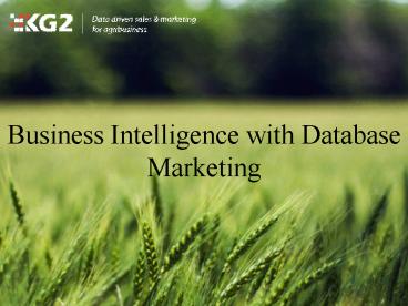 Business Intelligence with Database Marketing