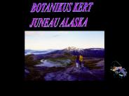 BOTANIKUS%20KERT