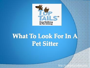 What To Look For In A Pet Sitter?