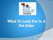 What To Look For In A Pet Sitter?