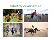 Leading Equestrian Horseback Riding