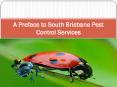 A Preface to South Brisbane Pest Control Services PowerPoint PPT Presentation