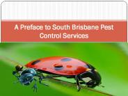 A Preface to South Brisbane Pest Control Services