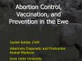 Abortion Control, Vaccination, and Prevention in the Ewe PowerPoint PPT Presentation